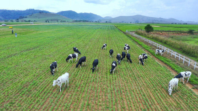 Xây tổ hợp “Resort” bò sữa Organic 5.000 ha tại Lào: Vinamilk giữ đúng cam kết sẽ chinh phục thì trường cao cấp quốc tế - Ảnh 3.