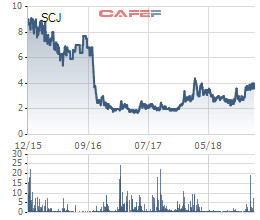 Xi măng Sài Sơn (SCJ) phát hành hơn 18 triệu cổ phiếu cấn trừ công nợ với Chủ tịch công ty - Ảnh 1.