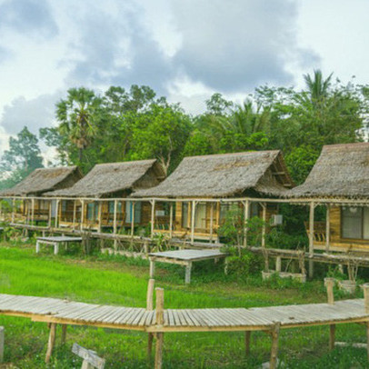 Xu hướng “bỏ phố về vườn” xây homestay, farmstay: Những người đầu tư nghiêm túc thì dù thất bại, 5 năm sau giá đất vẫn tăng gấp đôi