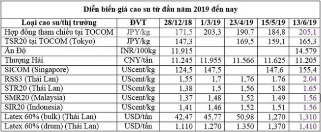 Xu hướng giá cao su thiên nhiên tăng liệu có kéo dài? - Ảnh 1.