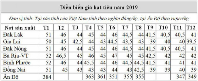 Xu hướng giá hạt tiêu giảm kéo dài 5 năm sẽ đảo chiều - Ảnh 1.