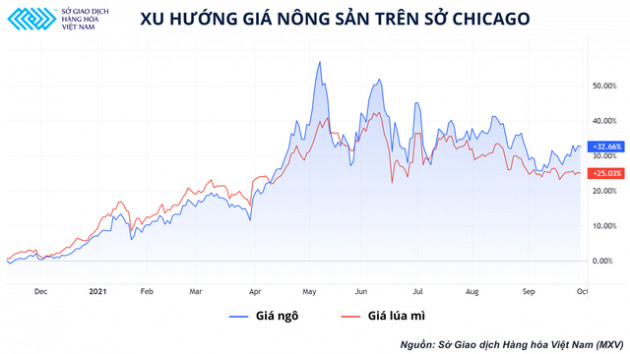 Xu hướng giá nguyên liệu nhập khẩu trong quý IV và biến số của ngành chăn nuôi trong nước - Ảnh 1.