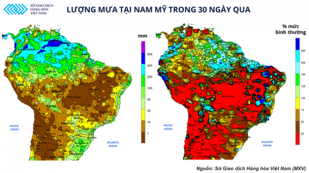 Xu hướng giá nguyên liệu nhập khẩu trong quý IV và biến số của ngành chăn nuôi trong nước - Ảnh 3.