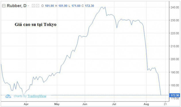 Xu hướng giảm giá trên thị trường cao su liệu có còn tiếp diễn? - Ảnh 1.