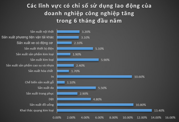 Xu hướng lao động đang tập trung vào ngành nào? - Ảnh 1.