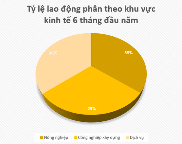 Xu hướng lao động đang tập trung vào ngành nào? - Ảnh 2.