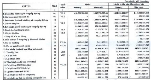 Xuân Mai Corp (XMC): Không còn lãi từ bán các khoản đầu tư, lợi nhuận năm 2021 giảm hơn nửa so với cùng kỳ - Ảnh 1.