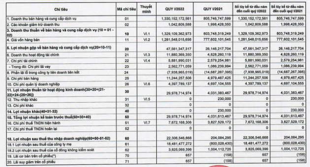 Xuất hiện doanh nghiệp báo lợi nhuận quý 1/2022 tăng gấp... 109 lần cùng kỳ - Ảnh 1.