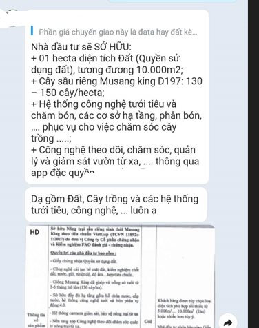 Xuất hiện hình thức đầu tư lạ: Môi giới chào mua bất động sản trồng sầu riêng, người mua không phải làm gì, năm thứ 7 đã hoàn vốn - Ảnh 1.