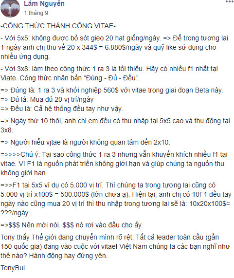  Xuất hiện MXH mới: Lấy tiền quảng cáo trả cho người dùng, góp 200 USD thu về 28.000 USD/tháng, không làm mà vẫn có ăn? - Ảnh 1.