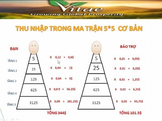  Xuất hiện MXH mới: Lấy tiền quảng cáo trả cho người dùng, góp 200 USD thu về 28.000 USD/tháng, không làm mà vẫn có ăn? - Ảnh 2.