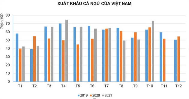 Xuất khẩu cá ngừ có tín hiệu hồi phục - Ảnh 1.