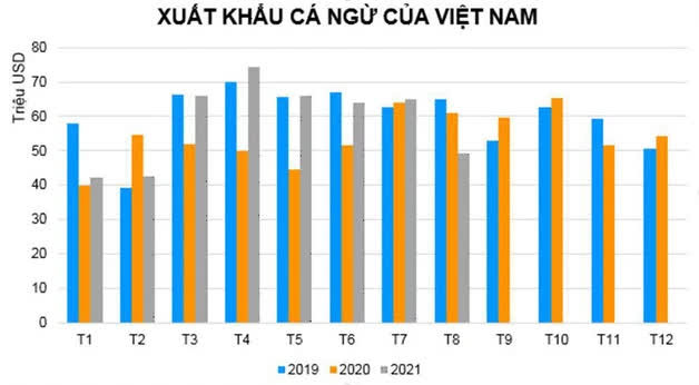 Xuất khẩu cá ngừ sang các thị trường chính đồng loạt giảm sâu - Ảnh 1.