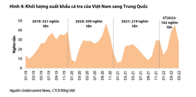 Xuất khẩu cá tra sang Trung Quốc dần hồi phục, cổ phiếu thuỷ sản nào sáng cửa? - Ảnh 2.