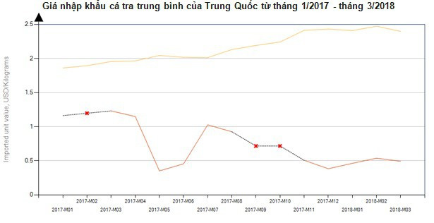 Xuất khẩu cá tra sang Trung Quốc tăng mạnh trở lại - Ảnh 2.