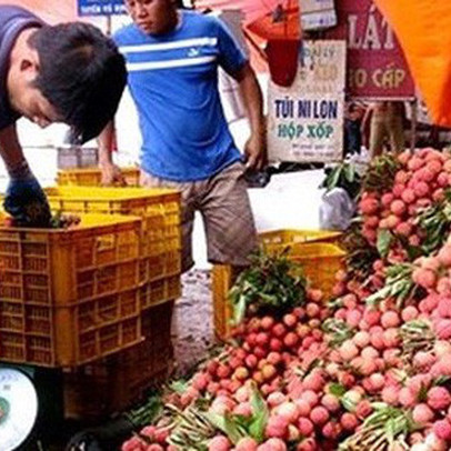 Xuất khẩu đã cán mốc 80 tỷ USD