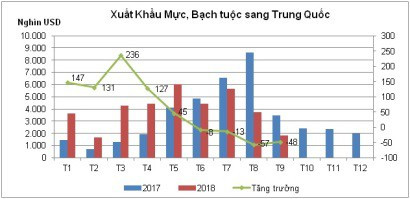 Xuất khẩu mực, bạch tuộc sang Trung Quốc sẽ tăng trưởng dương vào cuối năm - Ảnh 1.