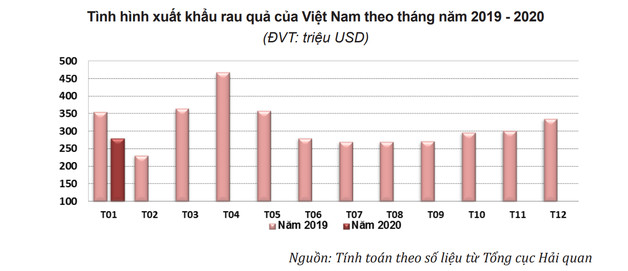 Xuất khẩu rau quả sang Trung Quốc giảm mạnh do virus Covid-19 - Ảnh 1.