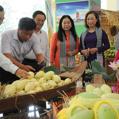 Xuất khẩu rau quả sang Trung Quốc: Sụt giảm sau nhiều năm tăng trưởng