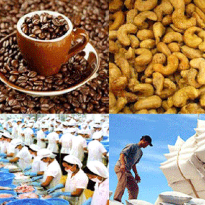 Xuất siêu ngành nông nghiệp giảm 20%