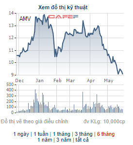 Y tế Việt Mỹ (AMV) triển khai phương án chào bán 40 triệu cổ phiếu - Ảnh 1.