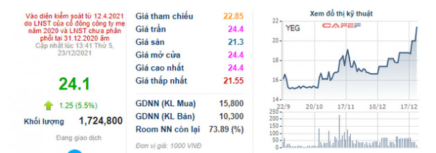 YEG tăng trần 3 phiên liên tiếp, Tổng giám đốc đăng ký bán hơn 1,1 triệu cổ phiếu - Ảnh 1.