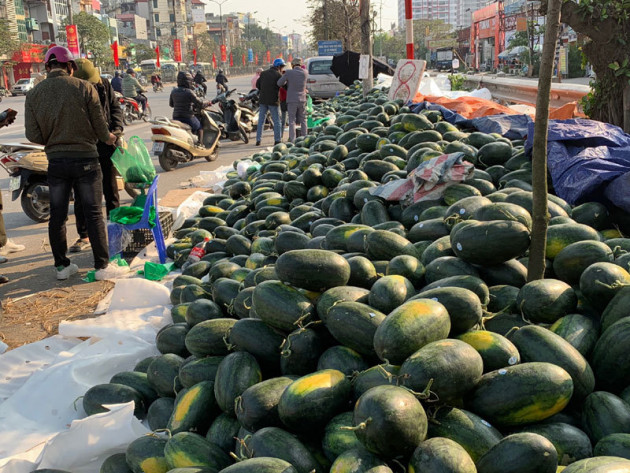 28 triệu tấn rau củ, trái cây: Buôn tiểu ngạch, hái ăn tươi bao giờ cho hết