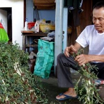 35 năm trồng cây rau dại toàn thân đeo phao trắng, ngày nào cũng cắt bán nửa tạ, bỏ túi 1 triệuicon