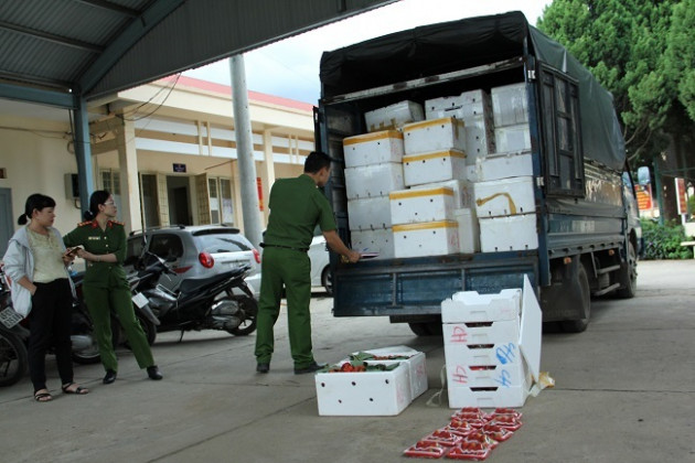 3,5 tấn dâu nghi của Trung Quốc 'bay' vào Đà Lạt