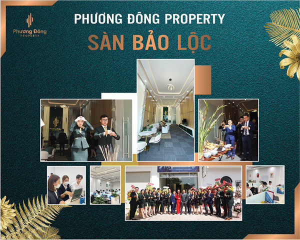 5 điều tạo nên môi trường làm việc lý tưởng tại Phương Đông Property