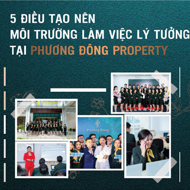 5 điều tạo nên môi trường làm việc lý tưởng tại Phương Đông Propertyicon