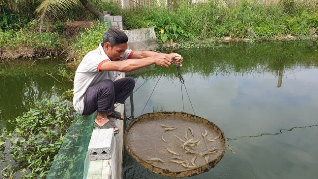 8X biến đồng trũng thành khu nông nghiệp công nghệ cao, thu hàng trăm triệu