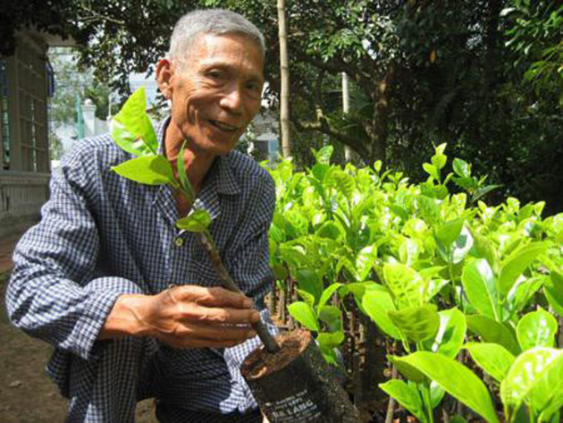 Ăn mít mà không phải tách hạt, bác nông dân Cần Thơ thu tiền tỷ từ loại mít kỳ lạ này