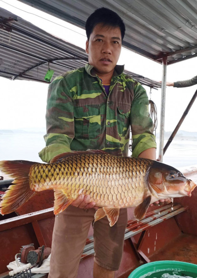 Đêm đi săn cá khổng lồ, lộc trời hiếm có ở Cấm Sơn