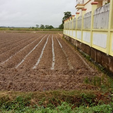 Bán ô tô 'bẻ lái' mua đất quê, bất ngờ cuối năm vợ chồng tôi có số tiền gấp đôi