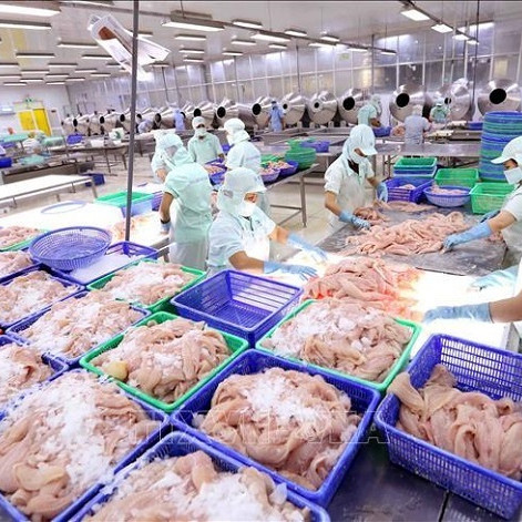 Bật dậy sau khi tụt đáy 5 năm, món hàng tỷ USD đột phá sang Trung Quốcicon