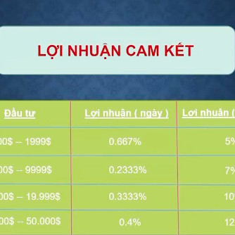 Bất thường tiền ảo VBSC: 'Ai có nhà thì cắm vào ngân hàng, ai có xe bán đi, có bao nhiêu cho vào đây'icon