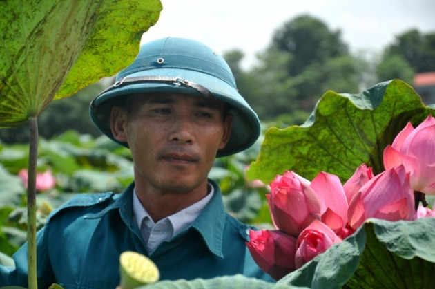 Biến vùng đất chết thành đầm sen, nông dân thu tiền tỷ