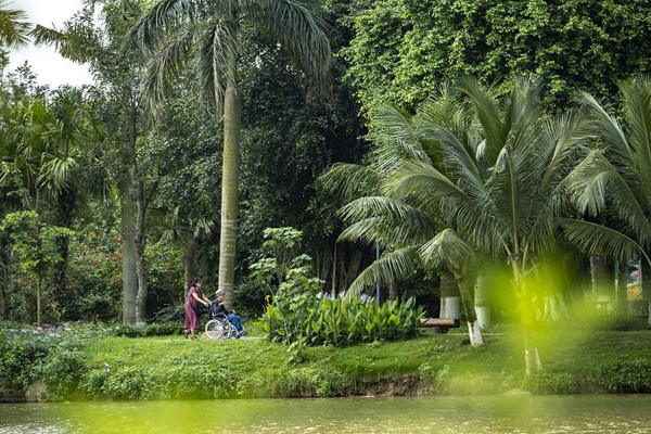 Bình minh tuyệt đẹp ở Ecopark