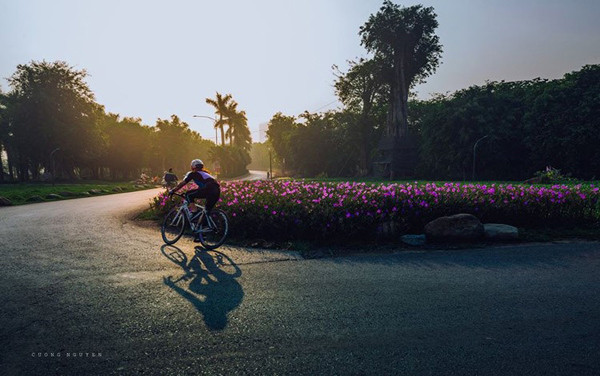 Bình minh tuyệt đẹp ở Ecopark