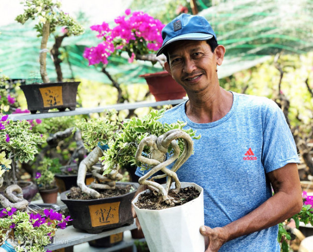 Bộ sưu tập bonsai hoa giấy hình thù độc lạ, hiếm thấy ở miền Tây