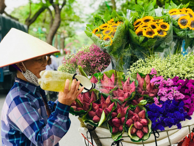 Bỏ tiền thật mua phải hoa sen giả, khách tự rước cục tức vào mình