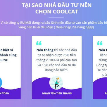 Bỏ tiền tỷ, vay nặng lãi đầu tư Coolcat: Người chơi 'chết đứng' khi sàn sậpicon