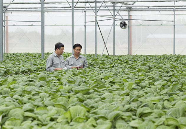 Nỗi lo của Bộ trưởng Lê Minh Hoan sau hai lần lỡ 'chuyến tàu lịch sử'