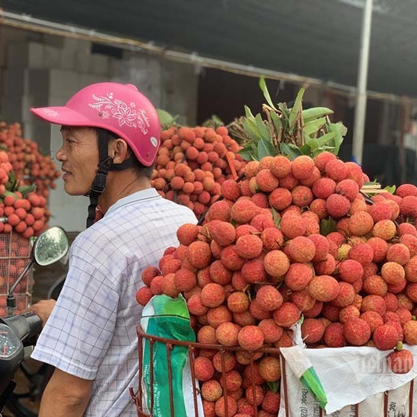 Bộ trưởng Lê Minh Hoan: Thiện nguyện không đúng cách sẽ nảy sinh bất cậpicon