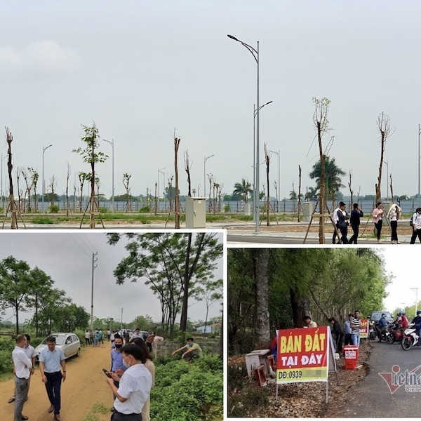 Bộ Xây dựng: Chặn tung tin thổi giá, xử nghiêm ‘cò’ đất bát nháo bán mua