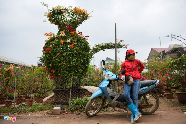 cho cay canh dip Tet, buoi dien canh anh 9