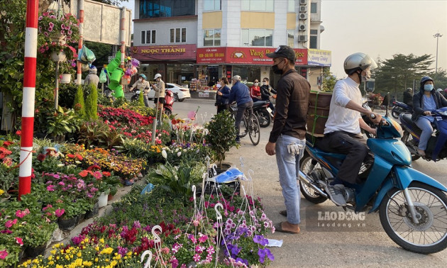 Trái ngược với cảnh ảm đạm tại các địa điểm bán cây cảnh chơi Tết, các cửa hàng hoa luôn tấp nập người qua lại. Năm nay, thời tiết khá thuận lợi, hoa phát triển khá tốt, giá cả phải chăng nên thu hút thị yếu của nhiều người dân.