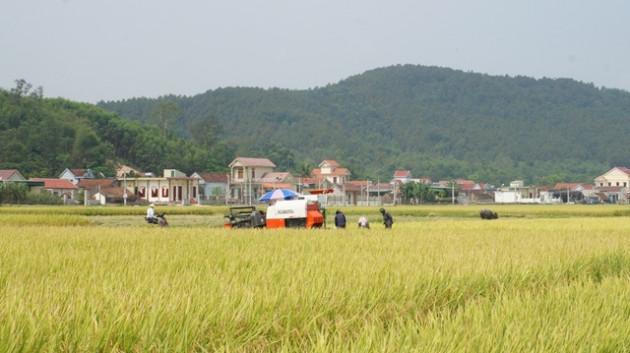 Cả làng đổi đời, xây biệt thự nhờ... tiền Kip