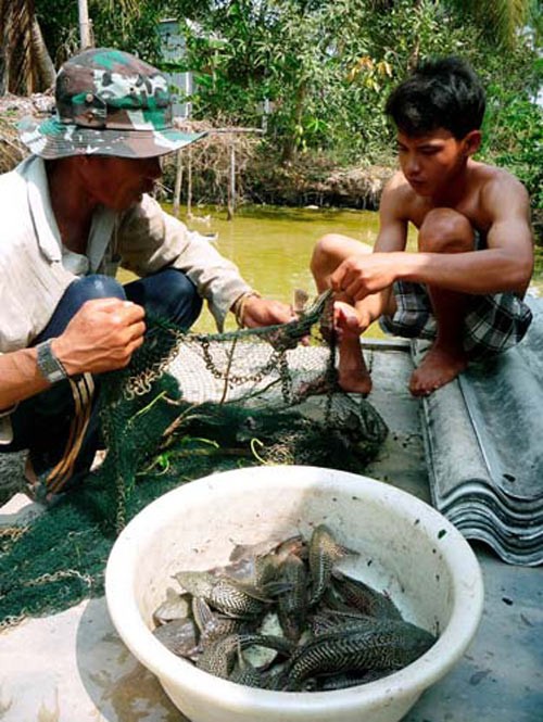 sinh vật ngoại lai